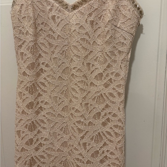 Xtraordinary Beige Lace Maxi Dress - Picture 2 of 5
